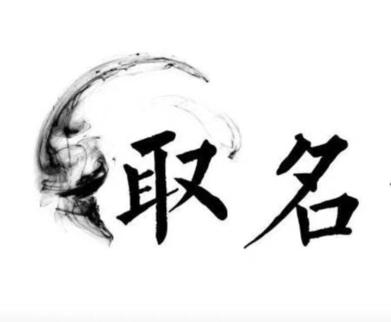  那曲宝宝取名 大师一对一人工起名
